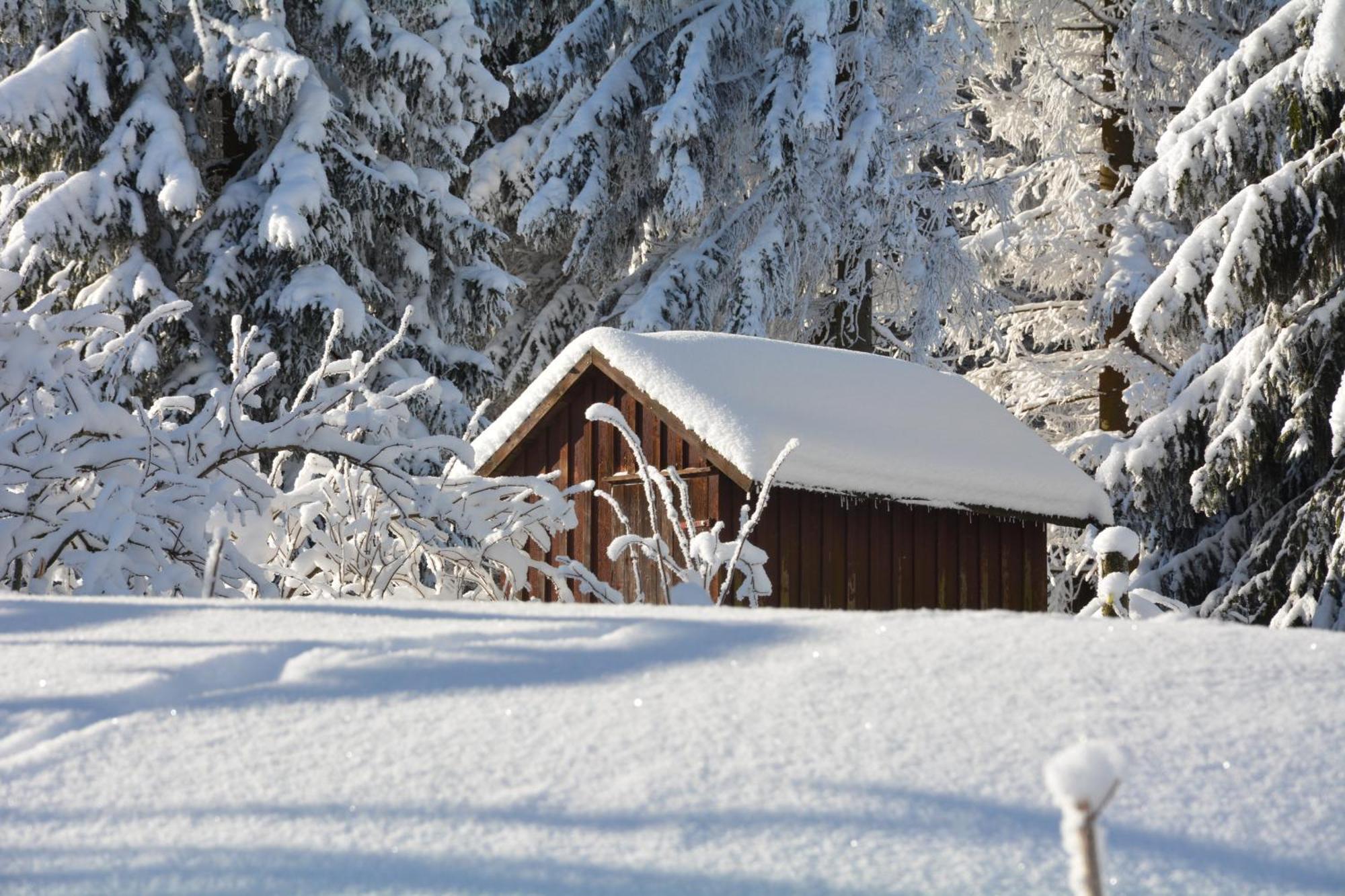Waldgasthof Bad Einsiedel Seiffen Exteriér fotografie