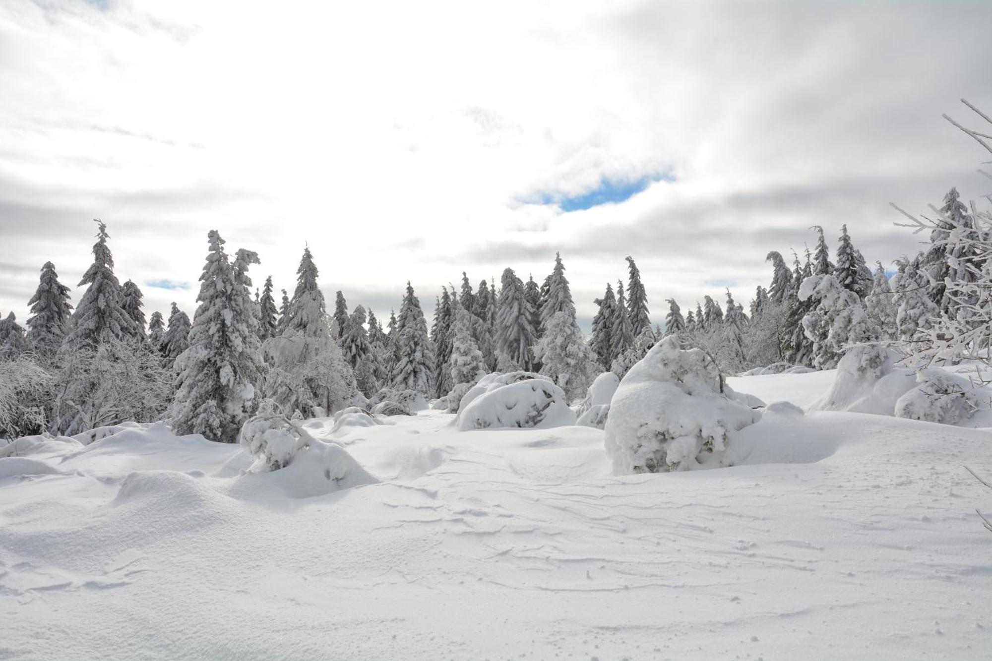 Waldgasthof Bad Einsiedel Seiffen Exteriér fotografie