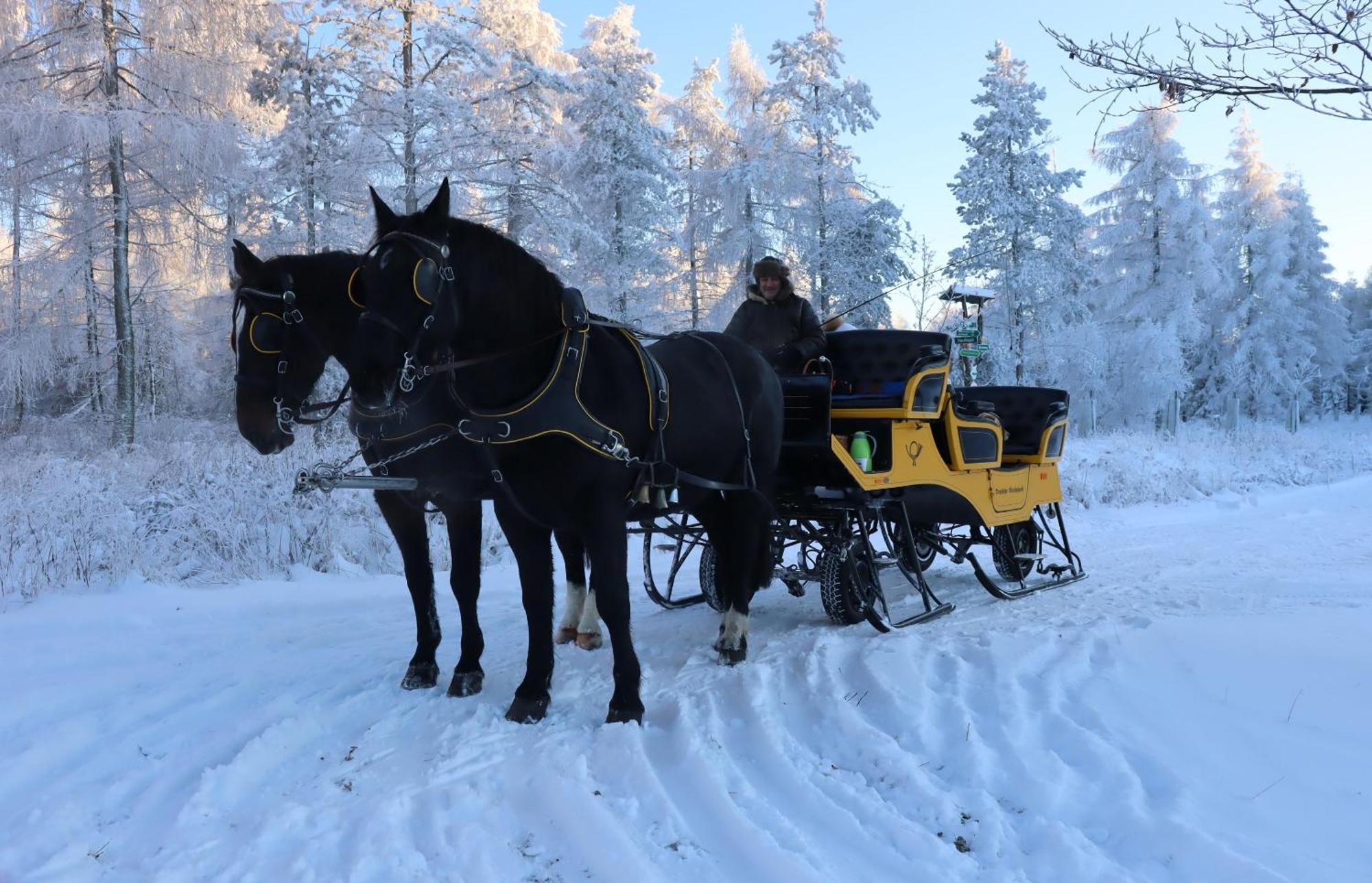 Waldgasthof Bad Einsiedel Seiffen Exteriér fotografie